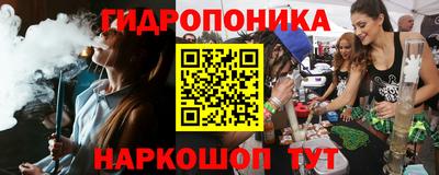 шишки Пыть-Ях