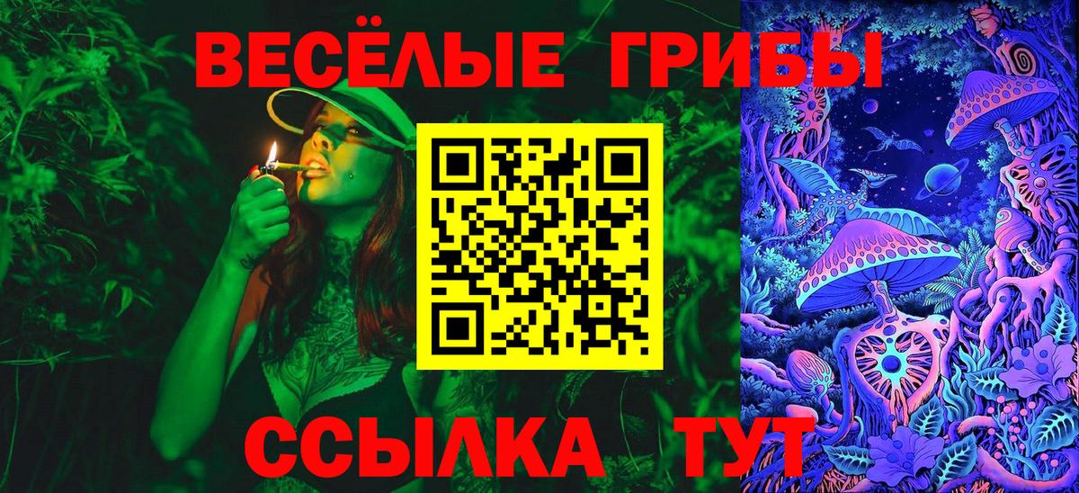 Первоуральск  Псилоцибиновые грибы Psilocybine cubensis  Вход с VPN 
